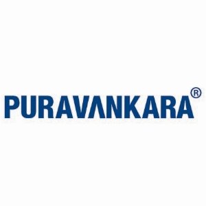 placement logo image